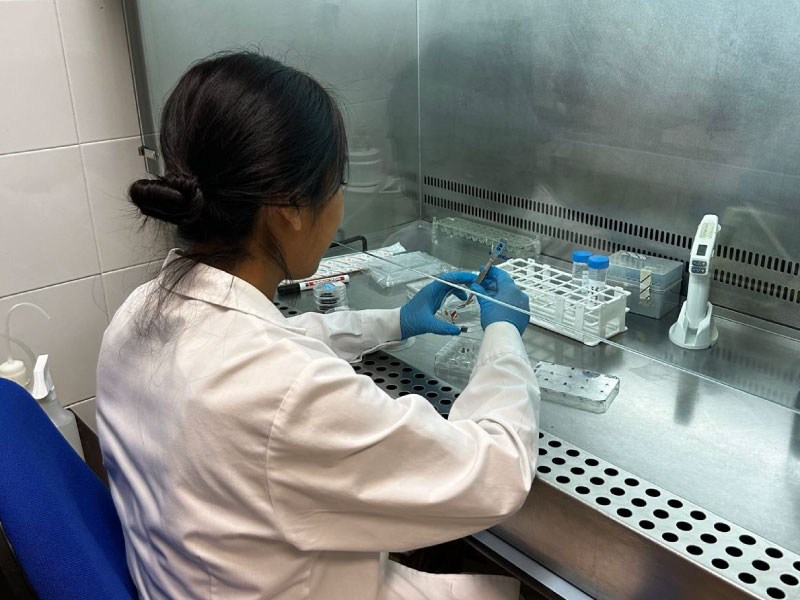 LIDIA LIZBETH INVESTIGA CÓMO RECUPERAR LA COMUNICACIÓN ENTRE NEURONAS