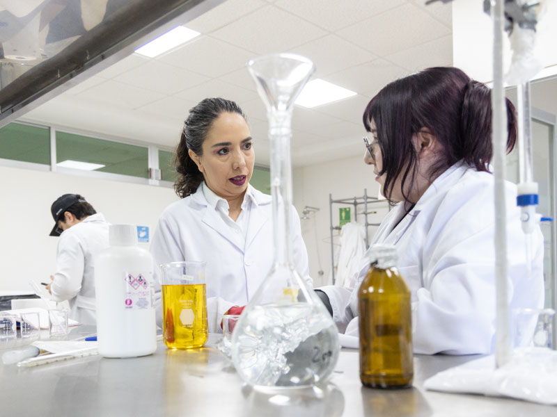 BIOCOMBUSTIBLES: LA OPORTUNIDAD DE SINALOA PARA PRODUCIR ENERGÍA A PARTIR DE RESIDUOS ORGÁNICOS