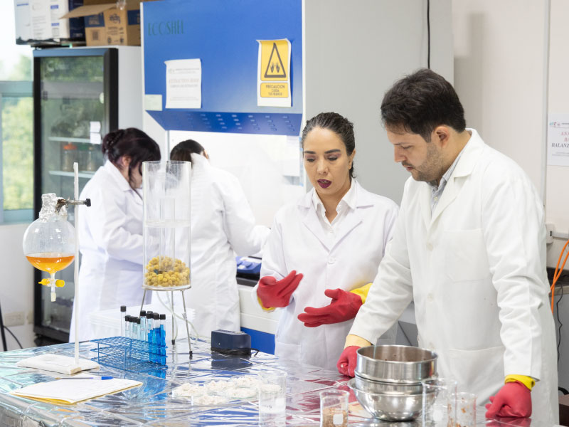 BIOCOMBUSTIBLES: LA OPORTUNIDAD DE SINALOA PARA PRODUCIR ENERGÍA A PARTIR DE RESIDUOS ORGÁNICOS