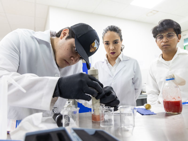 BIOCOMBUSTIBLES: LA OPORTUNIDAD DE SINALOA PARA PRODUCIR ENERGÍA A PARTIR DE RESIDUOS ORGÁNICOS