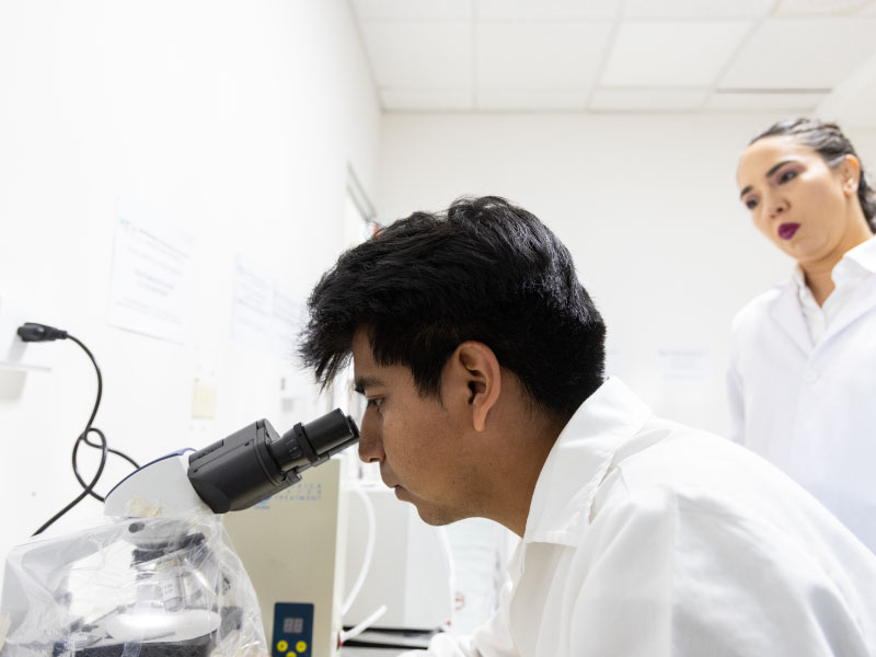 BIOCOMBUSTIBLES: LA OPORTUNIDAD DE SINALOA PARA PRODUCIR ENERGÍA A PARTIR DE RESIDUOS ORGÁNICOS