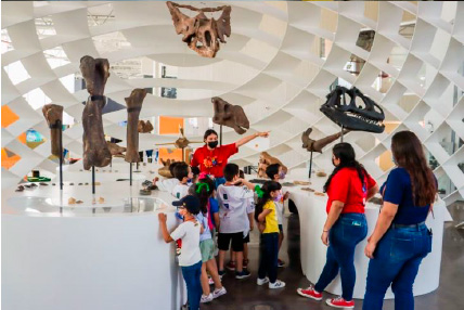 CONFÍE INVITA A DISFRUTAR UNA AVENTURA CIENTÍFICA EN LOS CURSOS DE VERANO DEL CCS